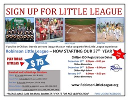 Little League Baseball Flyer