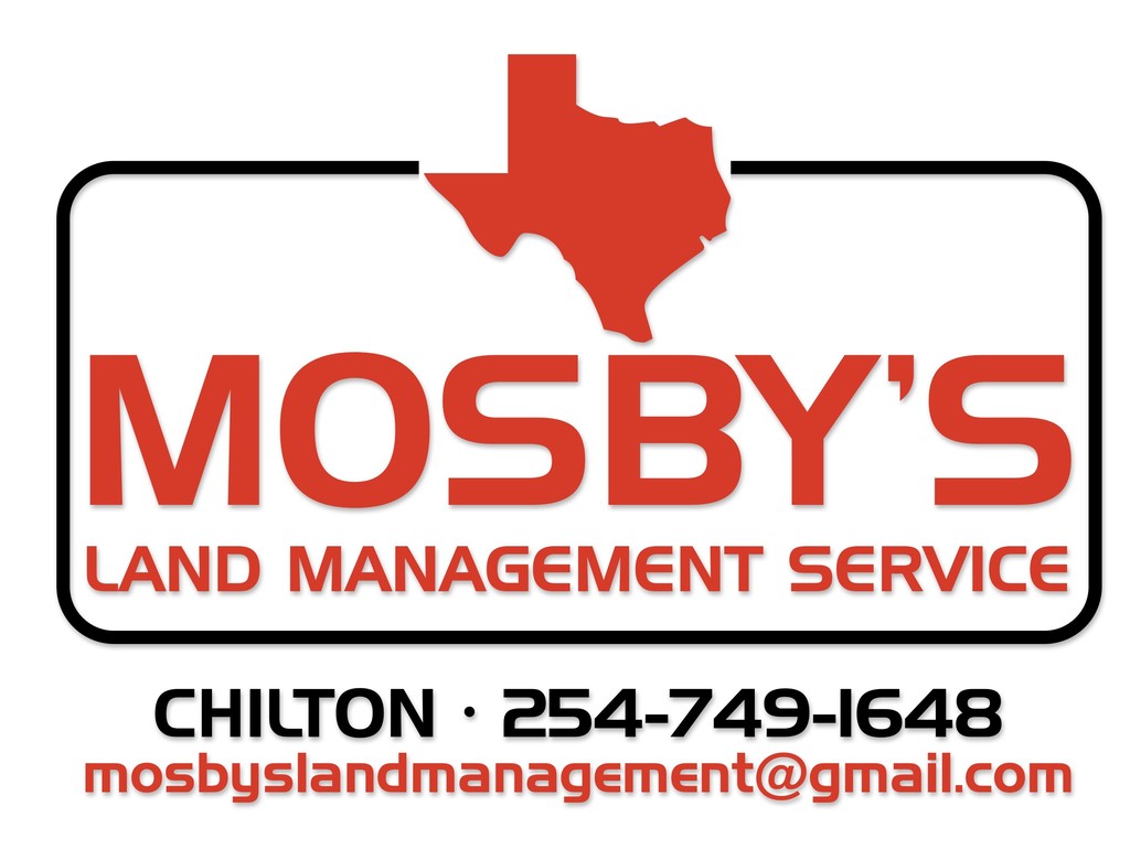 Mosby